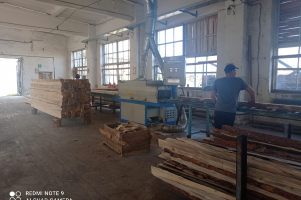 Wood processing plant in the Rivne region for sale